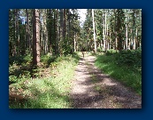 Is anybody out there?